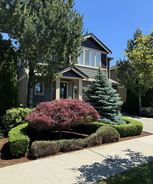 Landscaping Maintenance in Seattle 